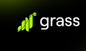 grass币能涨到多少钱